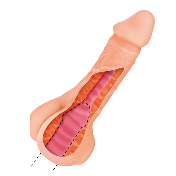 Real body Two in one - Slika 5